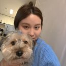 세븐일레븐 성남대원중앙점 | 수구리와 함께하는 내 일상