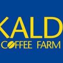 Coffee Farm(커피팜) 이미지