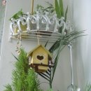 초록정원 이미지