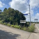 알루하우스A 이미지