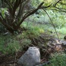 충북야생동물센터 이미지