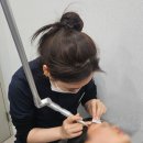 스킨영의원 이미지