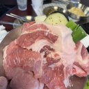 창돈 | [홍대 맛집] 마포 신촌에서 찾은 육즙 가득 고기 성지 "창돈"내돈내산 방문후기