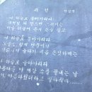 세흥시장 이미지