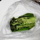 대박향어 이미지