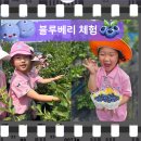 큰빛농장 네이버블로그