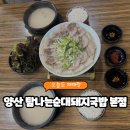 웅상대로 | 🥣 양산 돼지국밥 맛집, 탐나는순대돼지국밥 본점 솔직 후기