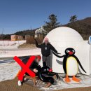 빈스킹토스트 부산진역점 | 강원도 여행기 Ep.1｜휘닉스파크 스노우빌리지 썰매 후기 (복장·시간대·꿀팁 정리)