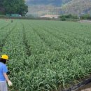 세은농장 이미지