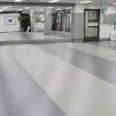 경희대 수 태권도장 이미지