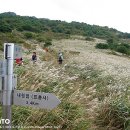사자평원 이미지