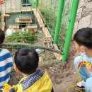 목포서산초등학교 이미지