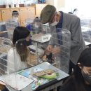 인천효성서초 이미지