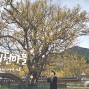 장군마을2길 네이버블로그