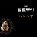할렐루야 이미지
