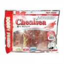 (주)팻라인 이미지