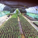 남해농장 이미지