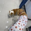 오렌즈 제주서귀포점 이미지