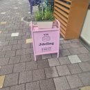 인천 송도 케이크 제이델링 후기
