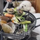 황제애견 | 예단포 맛집 백원이네｜영종도 애견동반 해물칼국수 후기
