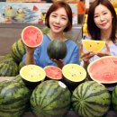 노란 이미지