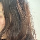 밀크플리즈 | 올리브영트리트먼트 추천, 나르카 스트레이트슬릭헤어밀크 부스스한 반곱슬 탈출한 후기 (ft. 돈모빗 꿀팁)