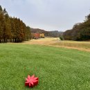 안성베네스트골프클럽 일반대중홀 | 삼성에서 관리하는 에버랜드 골프장 글렌로스cc 나인홀 두바퀴 맞아?