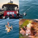 11650-16-111-6 | 포항 영일만항 알쭈꾸미 낚시 | 태창호 선상낚시 출조 후기