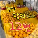 경산 참외단지 : 친절한 12번집 추천 :) /