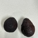 중기 후기 이유식 아보카도 큐브 만들기 후숙 방법 효능 궁합