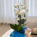 무염농장 | 상견례 선물 추천 수제 구움찰떡 만들기와 보자기 포장 후기