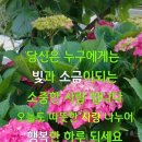 당신을 사랑합니다 이미지