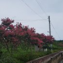 용호농장 이미지