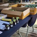 이효석문화예술촌 이미지