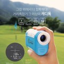 캐디닷컴