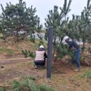 제주 셋알오름 일제동굴진지 | [제주환경일보] 제주문화유산돌봄센터, 셋알오름 일제 동굴진지 문화유산돌봄 진행 -2025.03.11