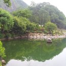 향기로운 염원 이미지