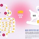 서울혜화약국 이미지