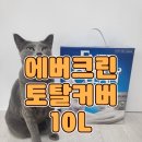 하이진크린 | 에버크린 토탈커버 체험단 후기