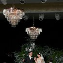 혜경축사 이미지