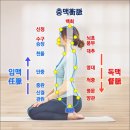 단군세기檀君世紀 서문은 천고의 대명문이다. 팔만대장경 경문보다, 사서삼경 경문보다, 주역의 경문보다도 단군세기 서문이 더 놀라운 이미지