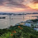 고하대로 이미지