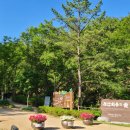 늘푸른숲 이미지