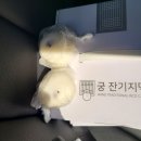 궁잔기지떡분당