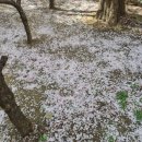 황금봄정신건강의학과의원 이미지