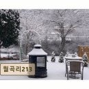 월곡리213