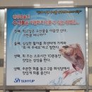 사라수산 이미지