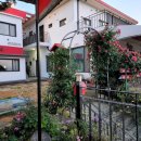 내리몽바닷가 이미지