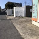 서귀동-8 이미지