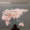 중앙정보기술 | 대전 실내 가볼만한 곳 국립중앙과학관 후기